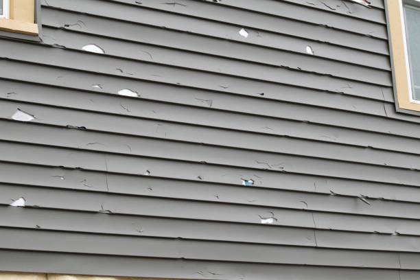 Best Historical Building Siding Restoration  in Soda Springs, ID